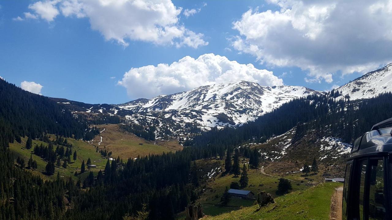 Cabana Rustic Vendégház Borsa  Kültér fotó