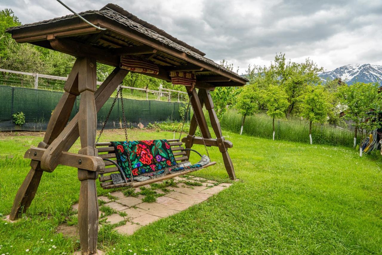 Cabana Rustic Vendégház Borsa  Kültér fotó