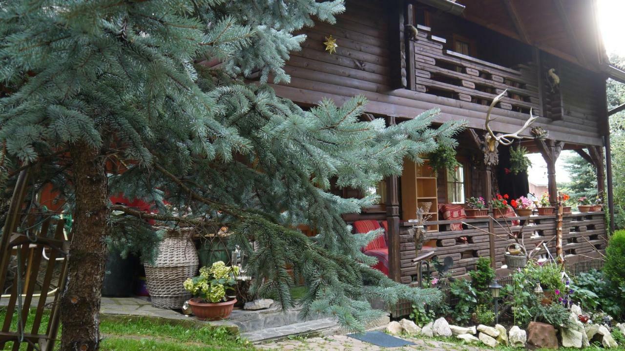 Cabana Rustic Borsa  Kültér fotó
