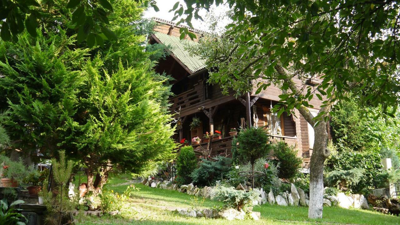 Cabana Rustic Borsa  Kültér fotó