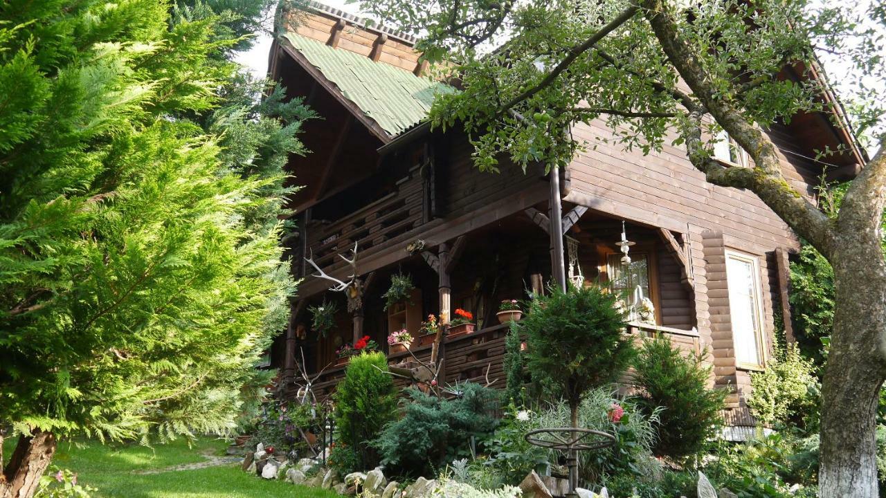 Cabana Rustic Borsa  Kültér fotó