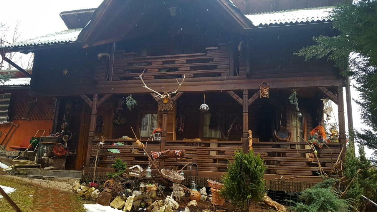 Cabana Rustic Borsa  Kültér fotó